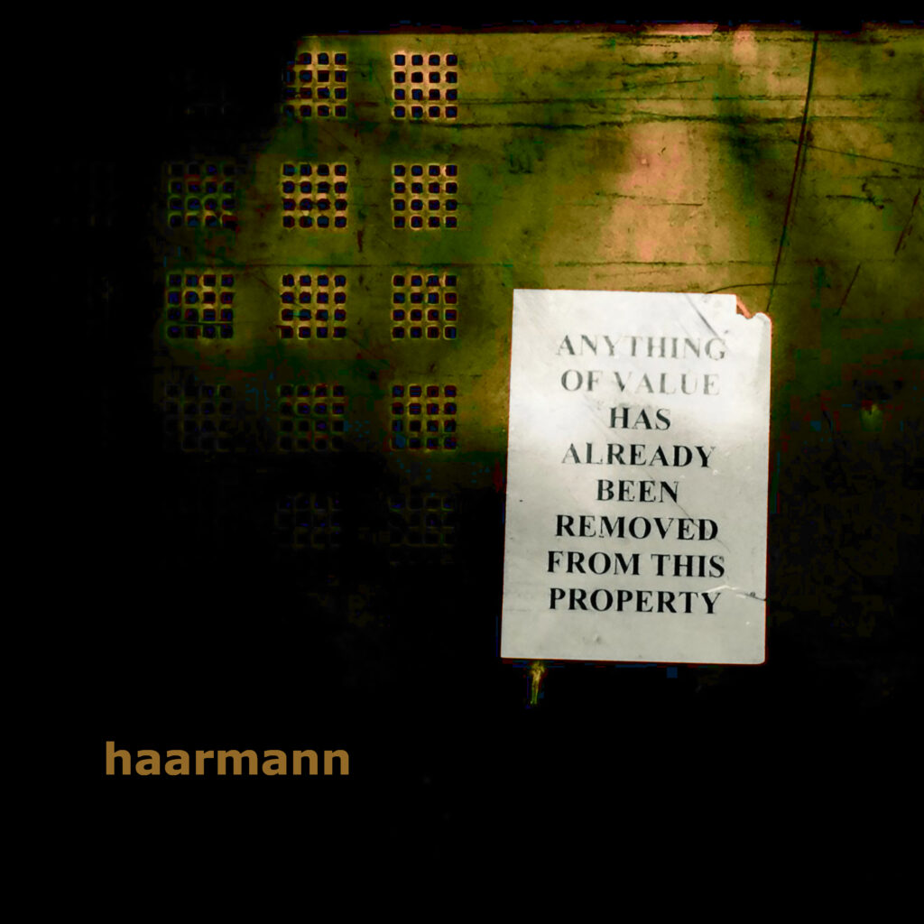 Cover Haarmann "Anything of Value Has Already Been Removed from This Property"